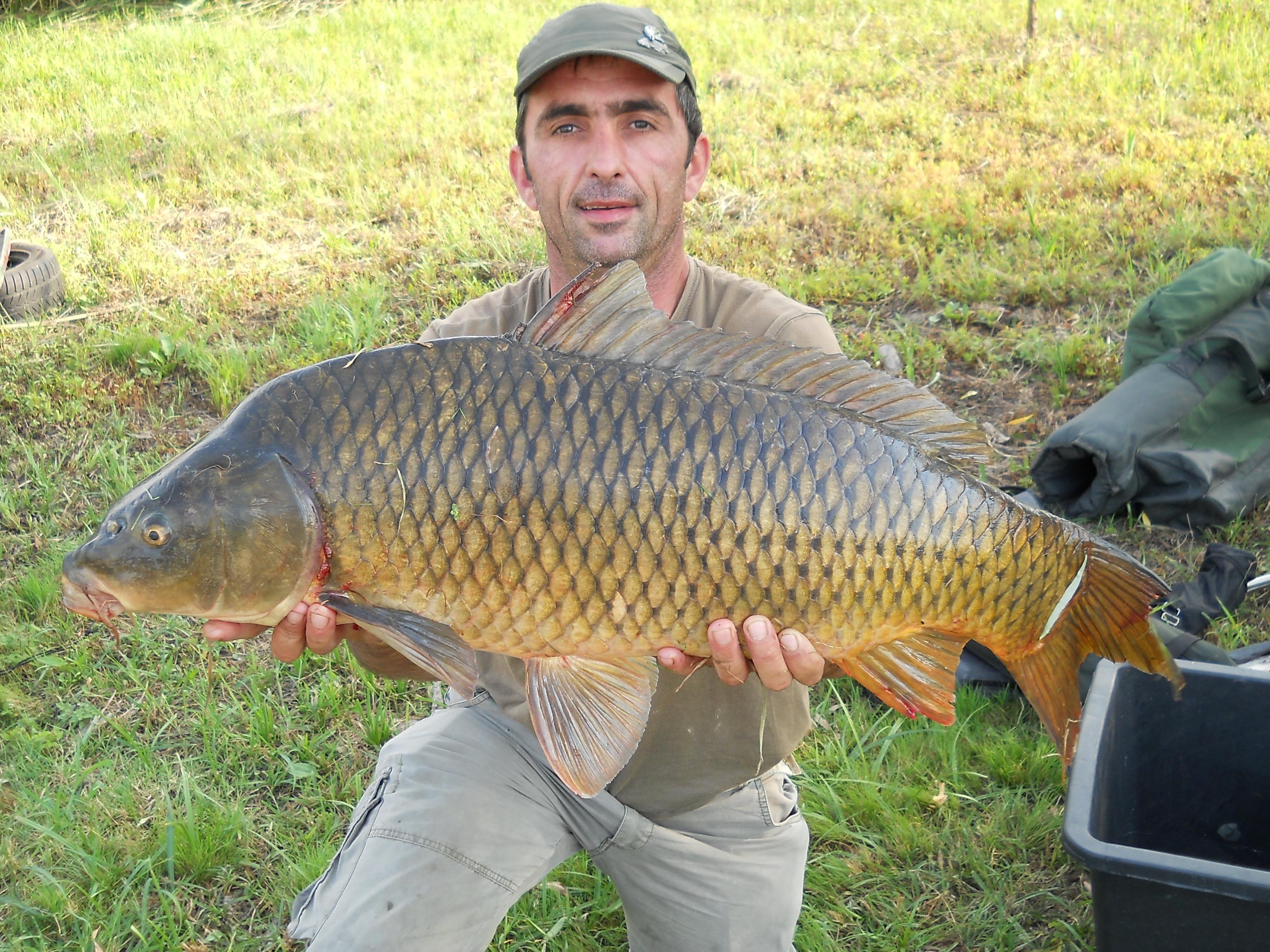 Capturi 2012 - 11 kg